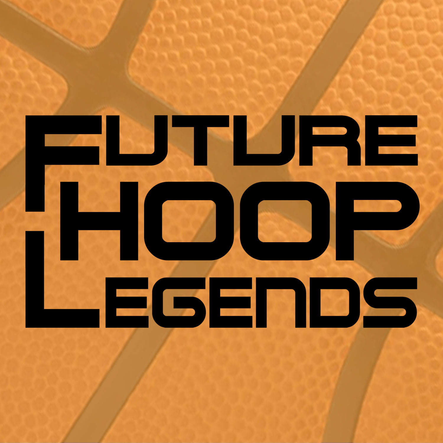 Players Eligible for the Basketball Hall of Fame in 2025 Future Hoop